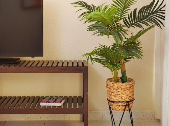 Cosy Apartment With Sea View And Pool Funchal  Ngoại thất bức ảnh